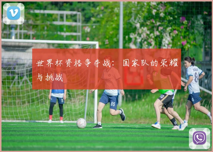 世界杯资格争夺战：国家队的荣耀与挑战
