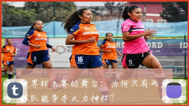世界杯决赛的舞台：为何只有两支球队能争夺大力神杯？
