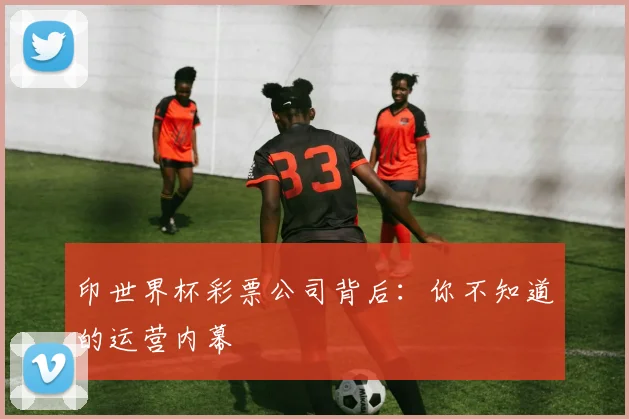 印世界杯彩票公司背后：你不知道的运营内幕