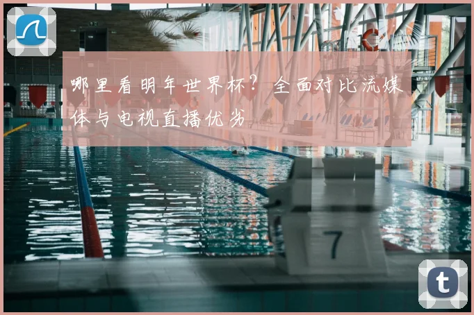 哪里看明年世界杯?全面对比流媒体与电视直播优劣