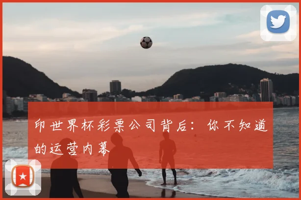 印世界杯彩票公司背后：你不知道的运营内幕