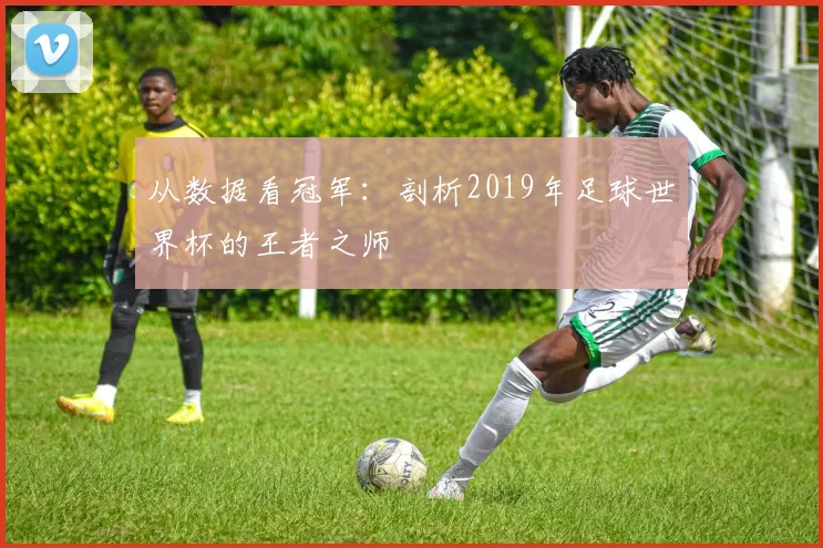 从数据看冠军:剖析2019年足球世界杯的王者之师