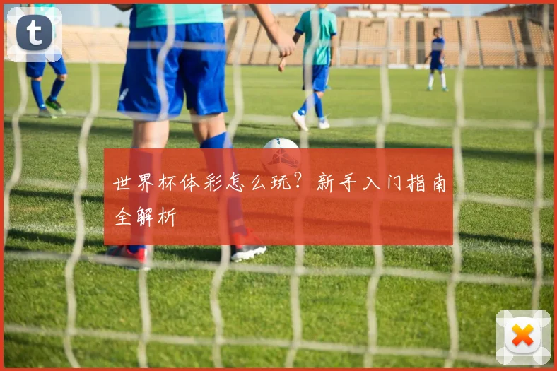 世界杯体彩怎么玩?新手入门指南全解析