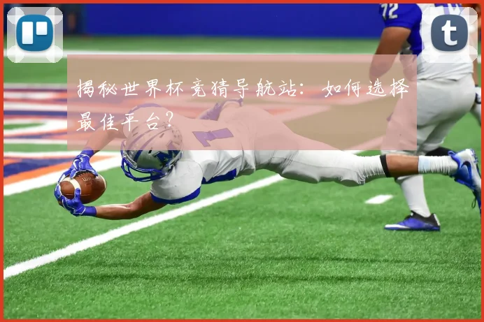 揭秘世界杯竞猜导航站：如何选择最佳平台？