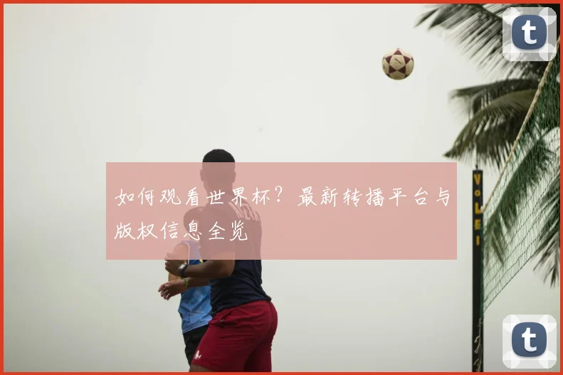 如何观看世界杯？最新转播平台与版权信息全览