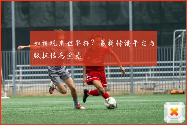 如何观看世界杯？最新转播平台与版权信息全览