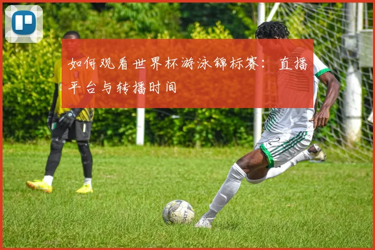 如何观看世界杯游泳锦标赛：直播平台与转播时间