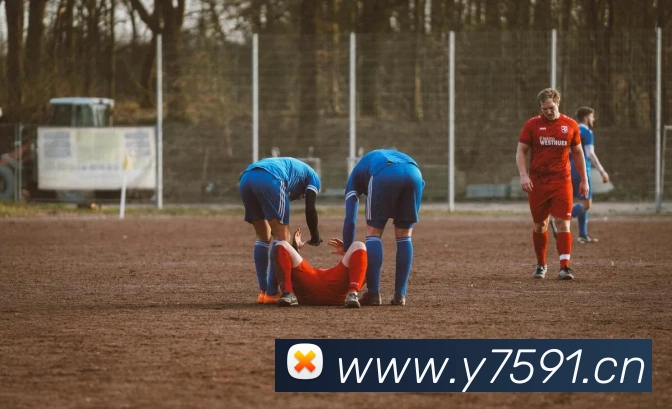 华体官网登录入口网址服务体系